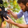 Fichier des Vignerons Viticulteurs | Achat en ligne